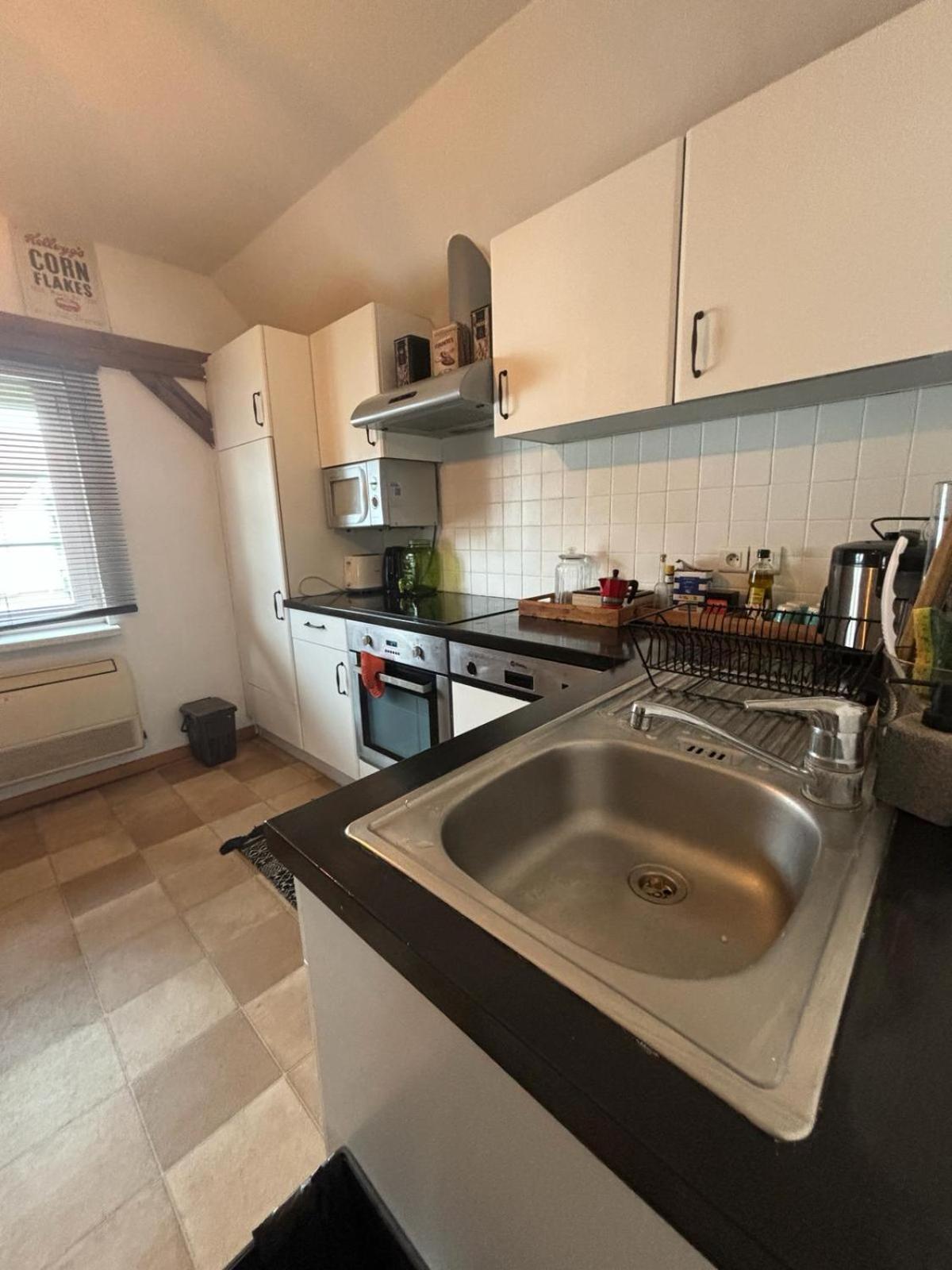 Charmant Appartement Proche Strasbourg A Eckwersheim Екстер'єр фото