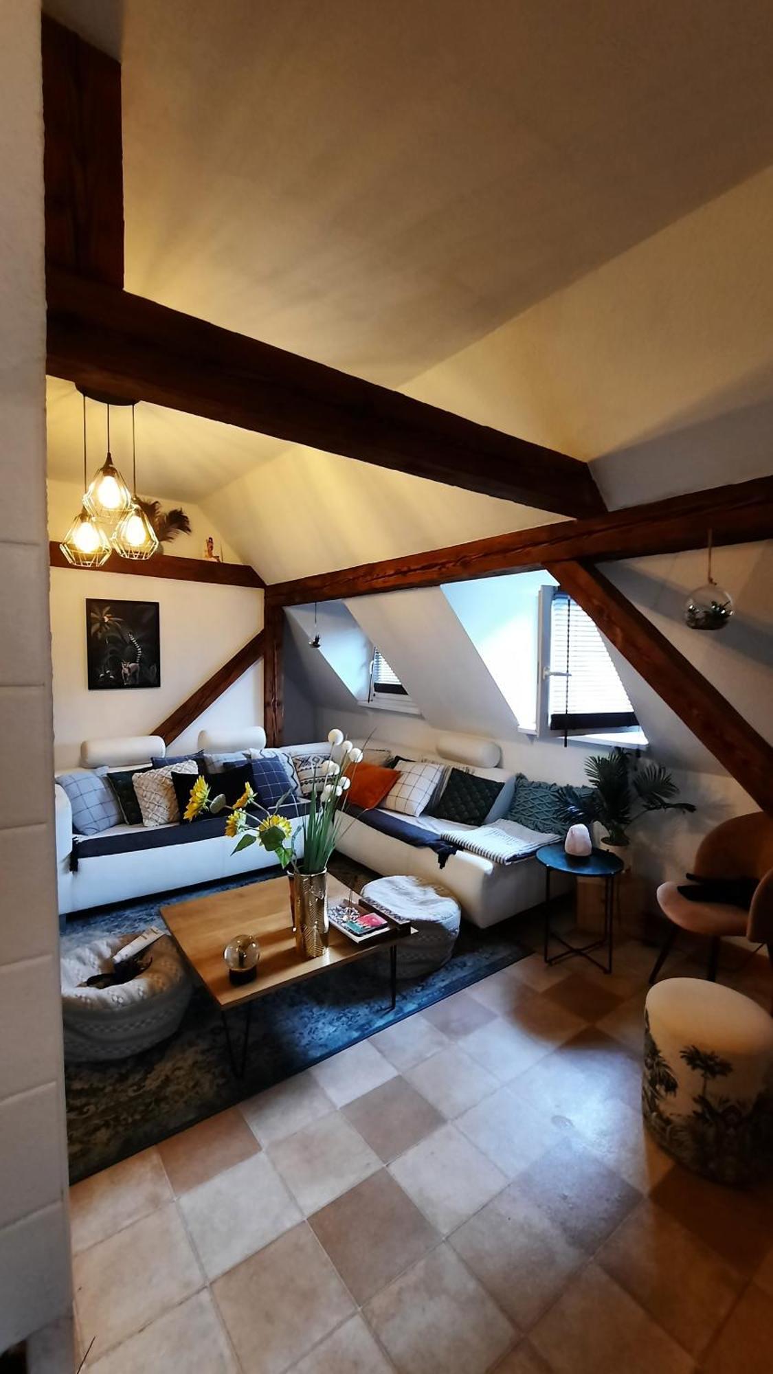 Charmant Appartement Proche Strasbourg A Eckwersheim Екстер'єр фото