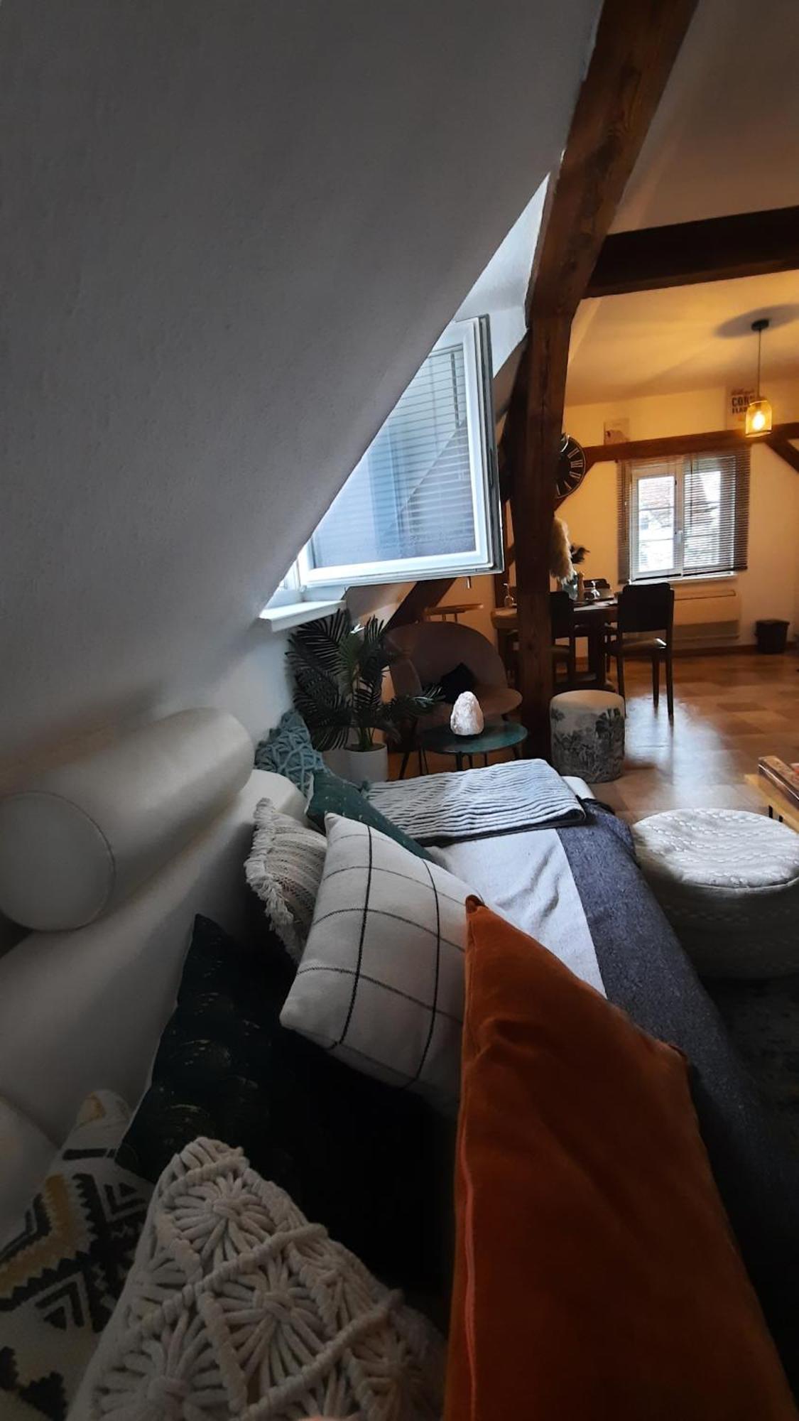Charmant Appartement Proche Strasbourg A Eckwersheim Екстер'єр фото