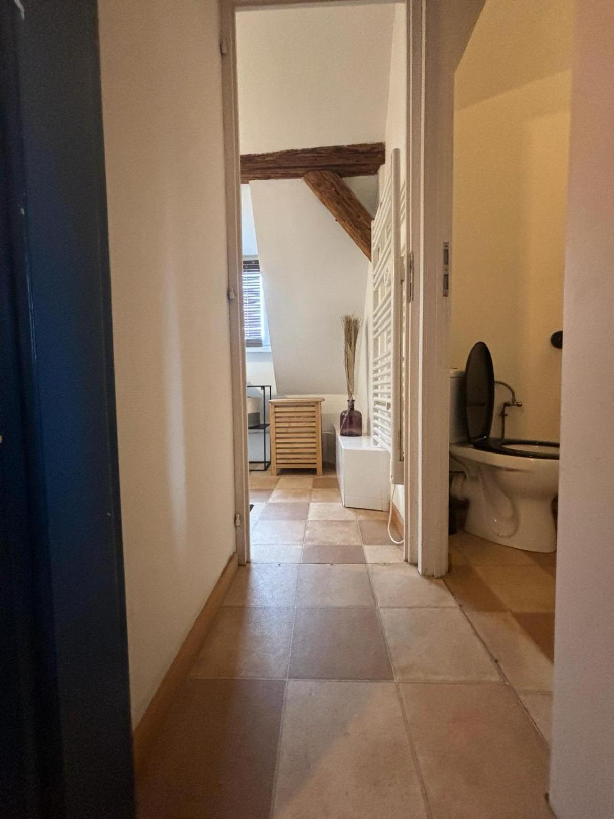 Charmant Appartement Proche Strasbourg A Eckwersheim Екстер'єр фото