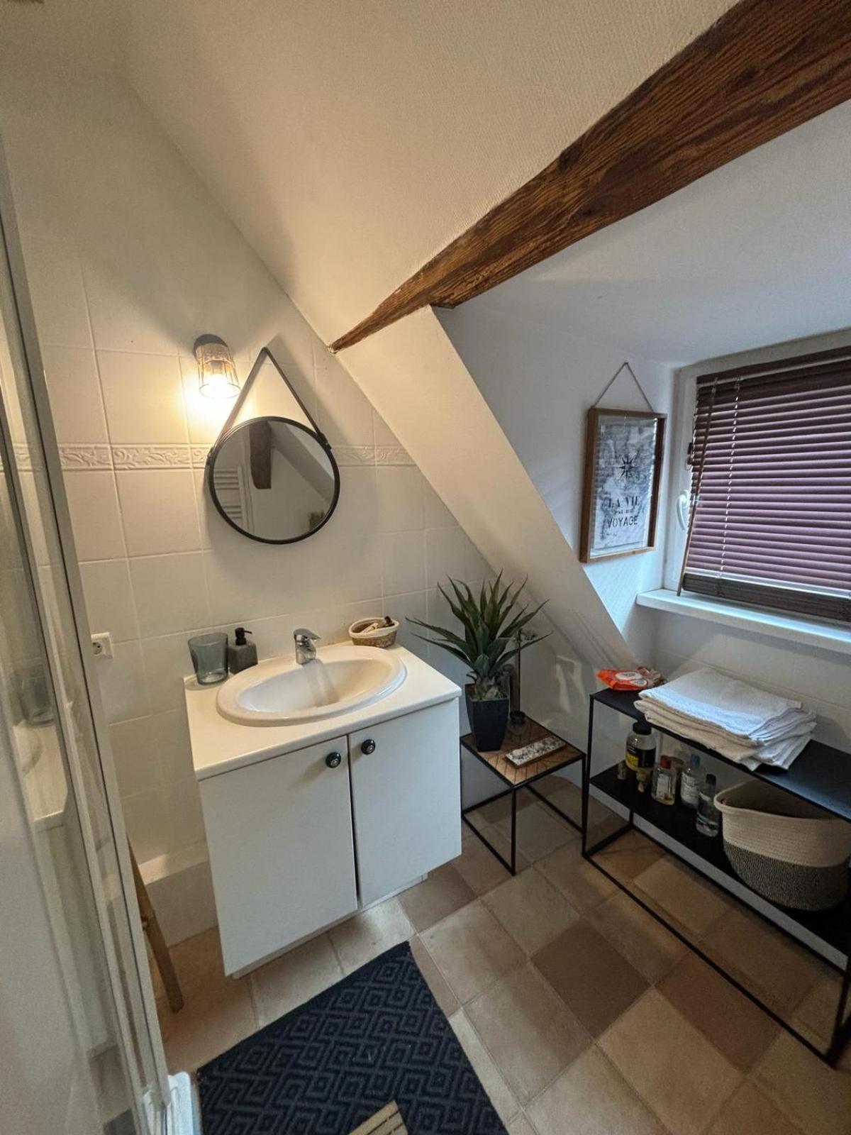 Charmant Appartement Proche Strasbourg A Eckwersheim Екстер'єр фото