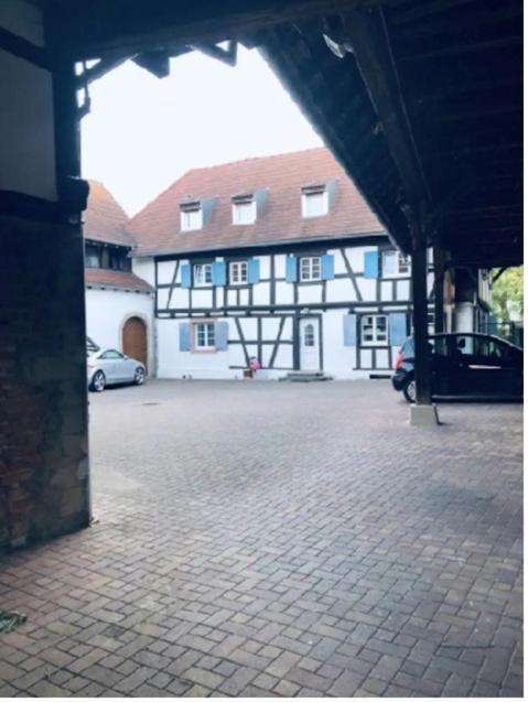 Charmant Appartement Proche Strasbourg A Eckwersheim Екстер'єр фото